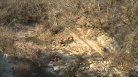 fotogramma del video Dolegna del Collio, sopralluogo per criticità idrauliche